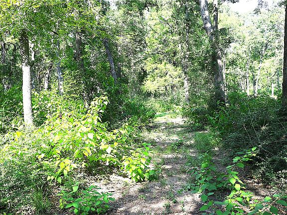 5th image of LOT 14 Sawmill Rd
