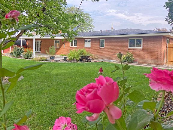 Back yard full of blooms