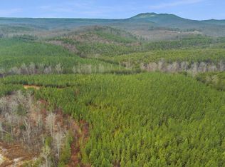 0 Chellis Ford Rd #2, Lynch Station, VA 24571