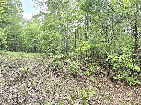 3rd image of 6070 Raulston Falls Rd Lot 97