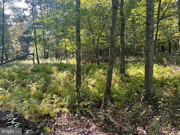 3rd image of 0 Werkheiser Ln