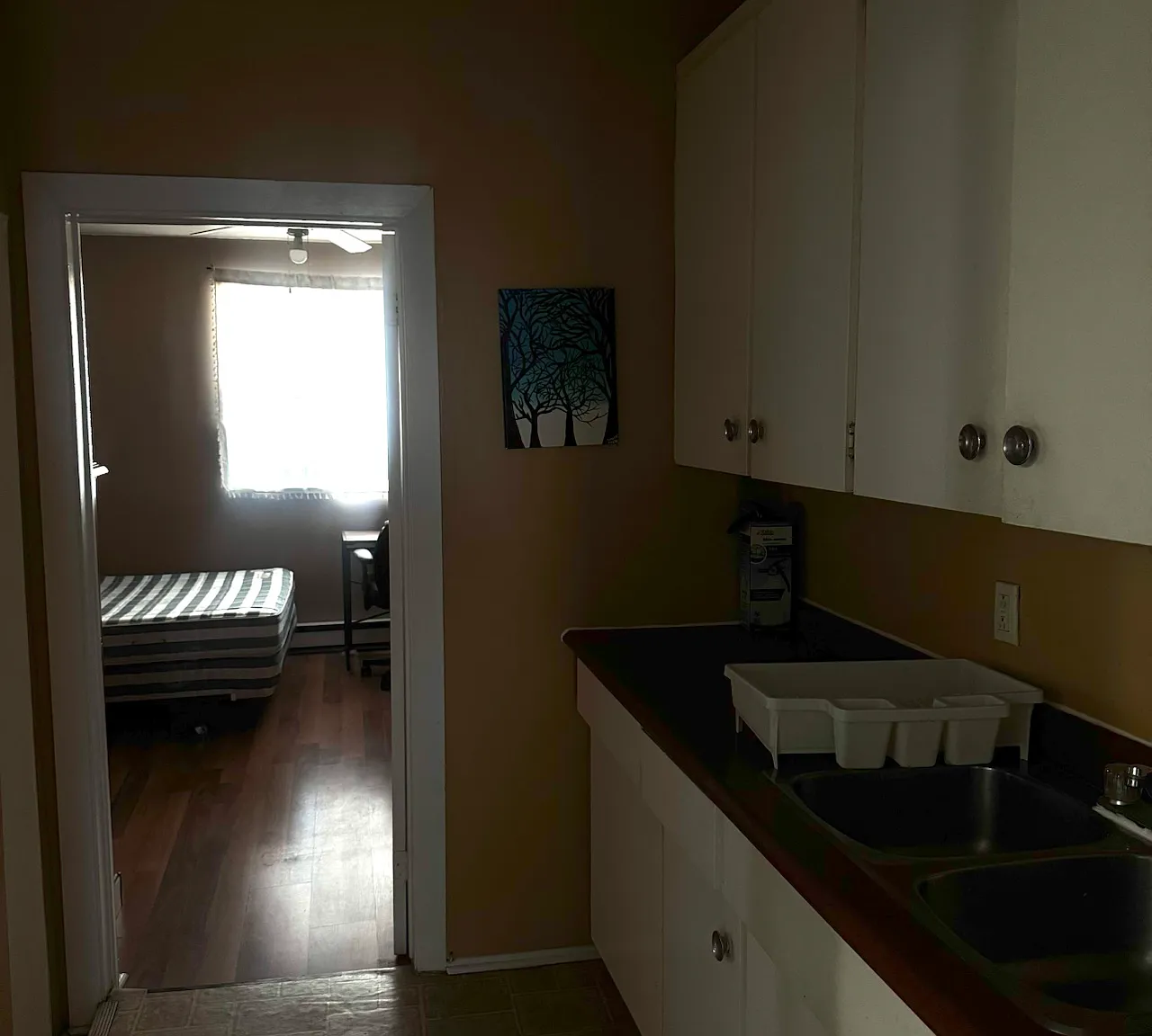 1 bed, 225 sqft, $855 — Photo 4