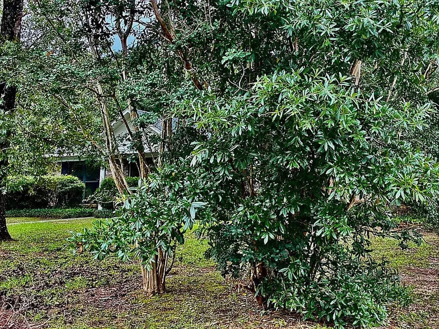 Charming 3BR House in Mobile — Photo 2
