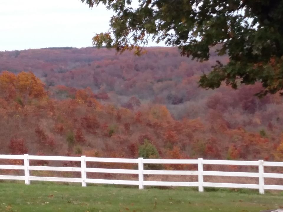 Fall
