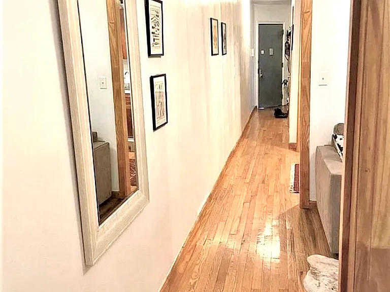 239 Troy Ave #3 — Photo 6