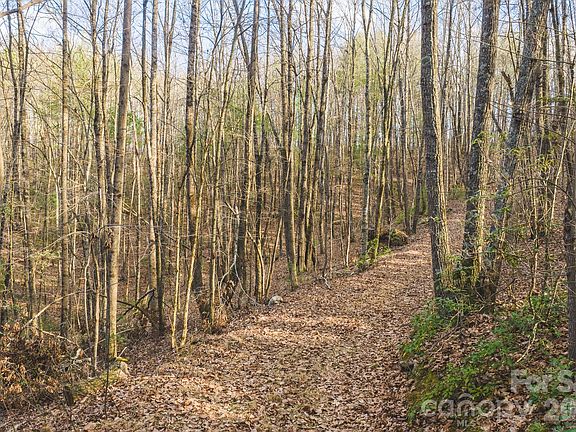 5th image of All Healing Springs Rd #2