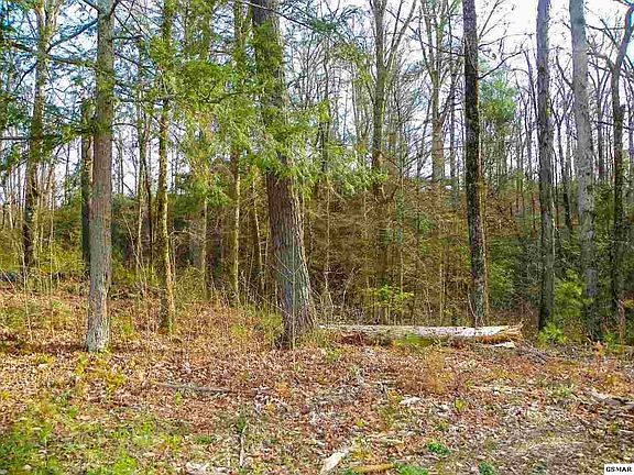 2nd image of 181 Dayne Dr Lot 18