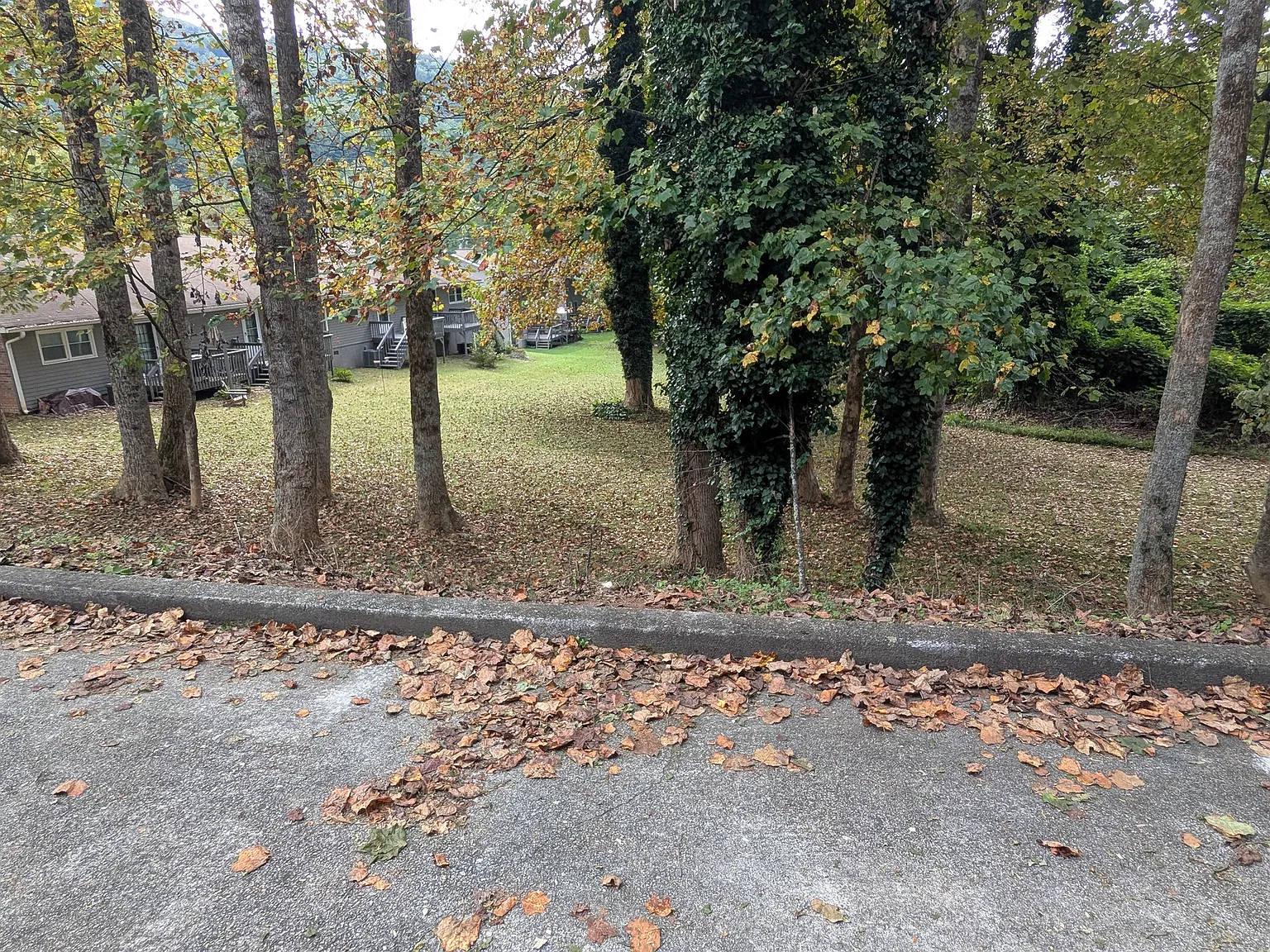 2 bed, 900 sqft, $1,200 — Photo 4