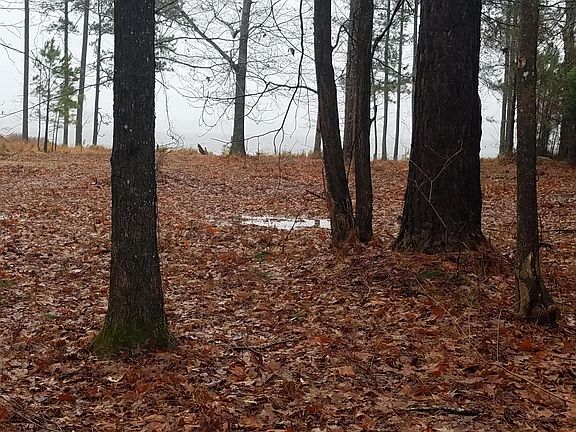 3rd image of Lot 6 Timber Lane