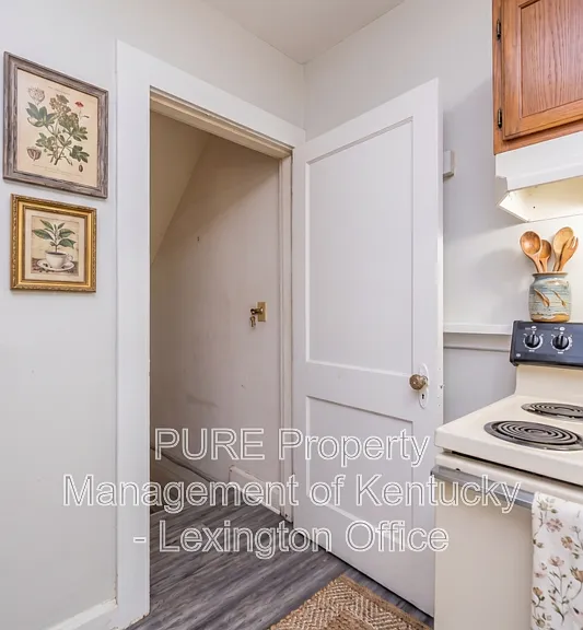 3 Dogwood St — Photo 6