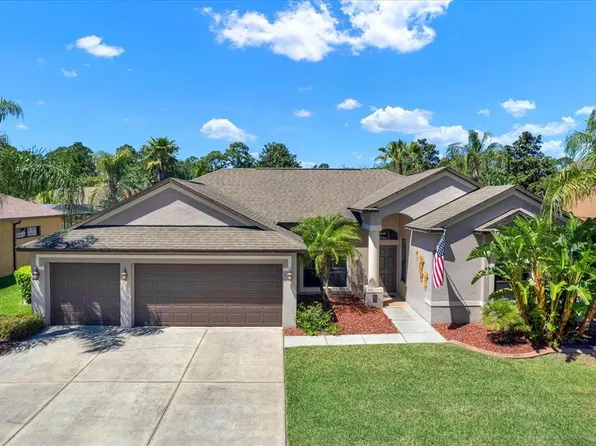 10813 Rain Lily Pass, Land O Lakes, FL 34638