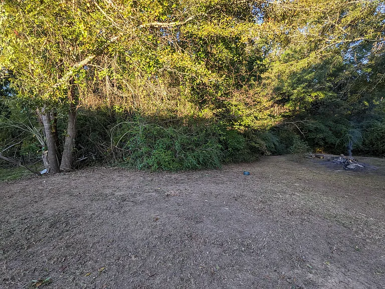 1004 Bibb St — Photo 8