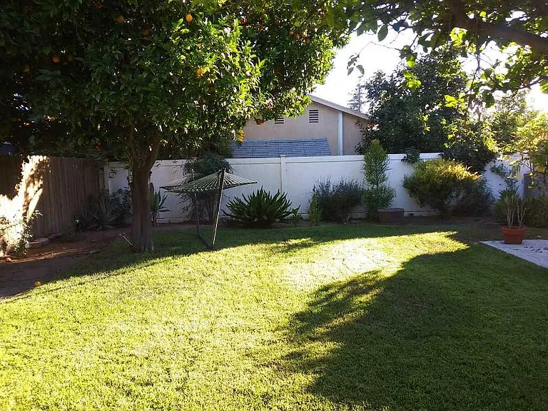 Large enclosed backyard with fruit trees.