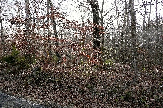 1st image of 149 Thompson Place Ln