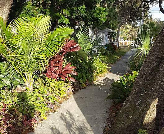 Mature Landscaspe