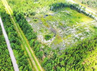 0 Branch Farm Rd, Millwood, GA 31552