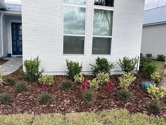 Landscaping at the front of the house