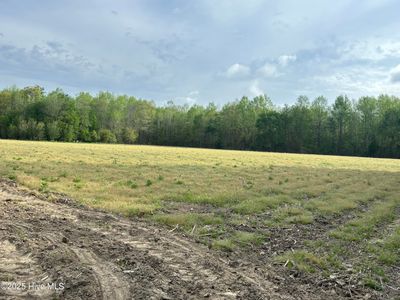 Tbd Jones White Road, Roper, NC, 27970