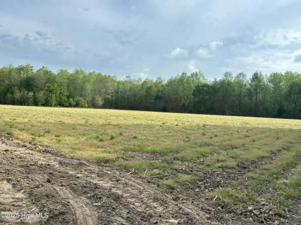 Tbd Jones White Road, Roper, NC 27970