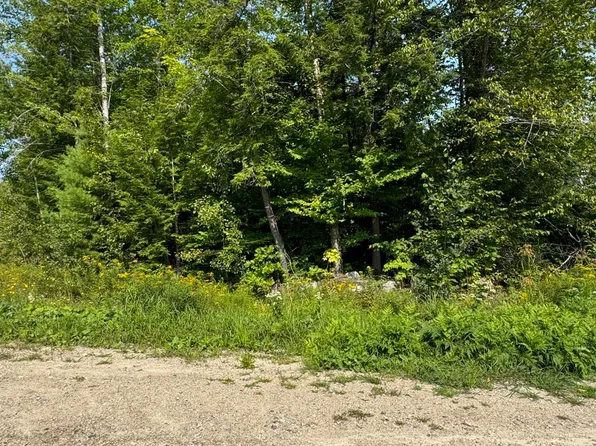Lot #9 Ward Road, Sebago, ME 04029