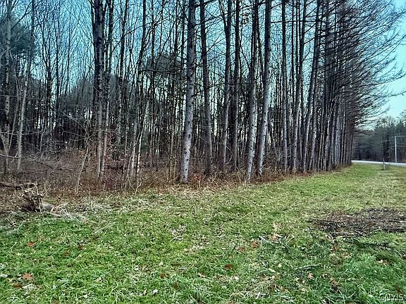 3rd image of County Road 48 Lot 17