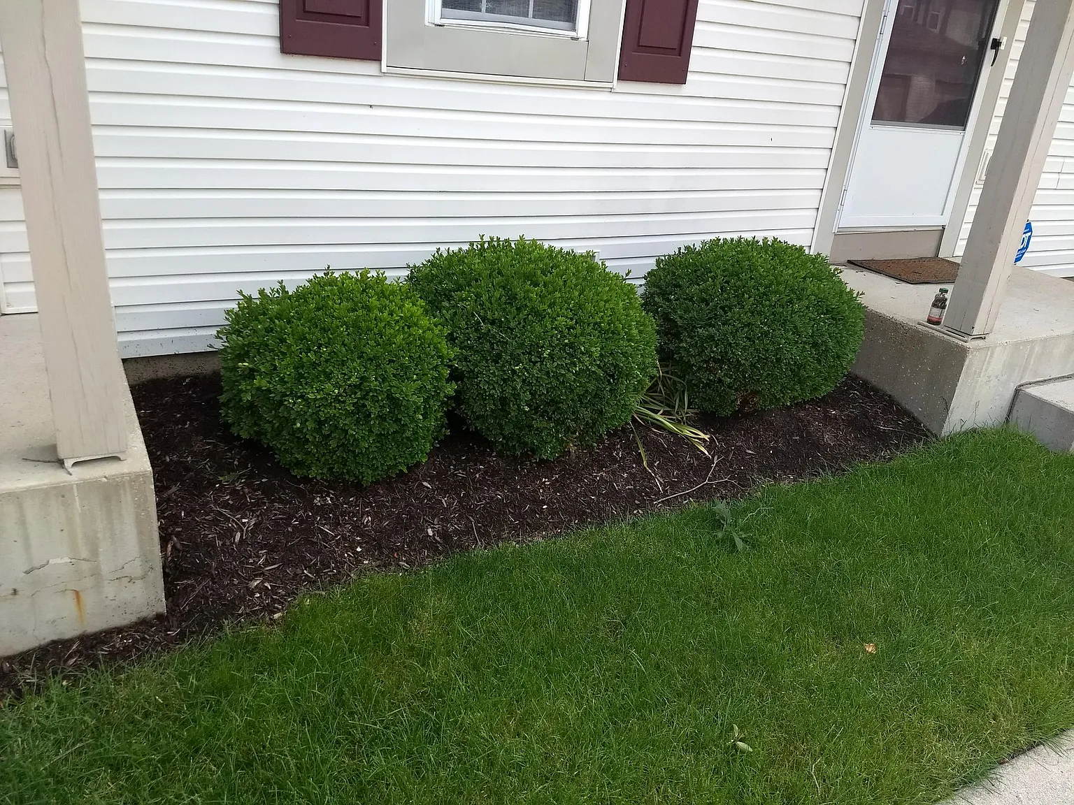 2 bed, 896 sqft, $1,250 — Photo 4