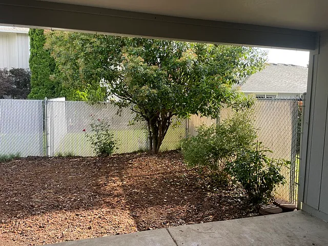 Covered patio out back