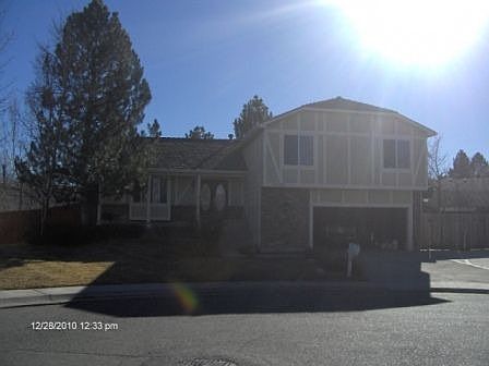 Front yard and driveway