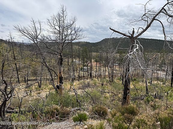 4th image of Tower Rd Tract 33