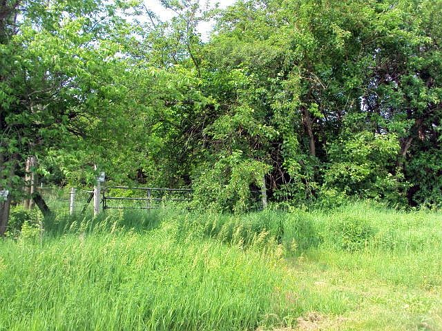 2nd image of 441 Brownlee Rd