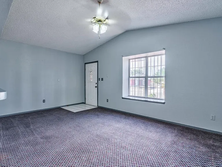 12521 Angie Bombach Ave — Photo 11