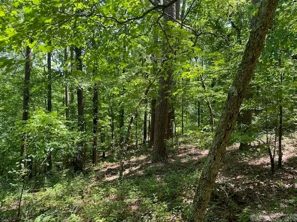 0 Little Blakely Creek Rd, Jessieville, AR 71949