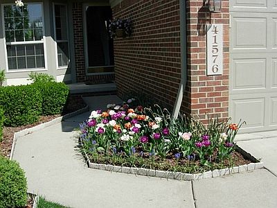 3rd image of 41576 White Tail Ln