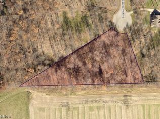 14065 Kimpton Trl, Hiram, OH 44234