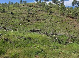 14874 Evergreen Pl, Woodland Park, CO 80863