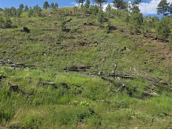 14874 Evergreen Pl, Woodland Park, CO 80863