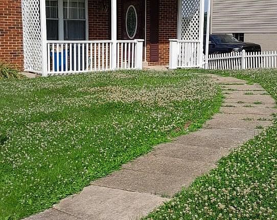 3rd image of 35 Patricia Dr