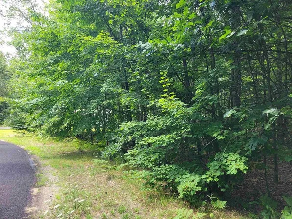LOT 533 Winding Dr, Houghton Lake, MI 48629