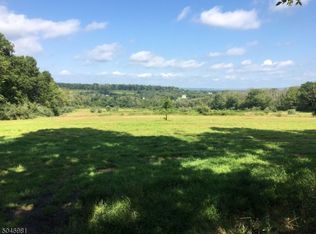 65 Rocktown Rd, Ringoes, NJ 08551