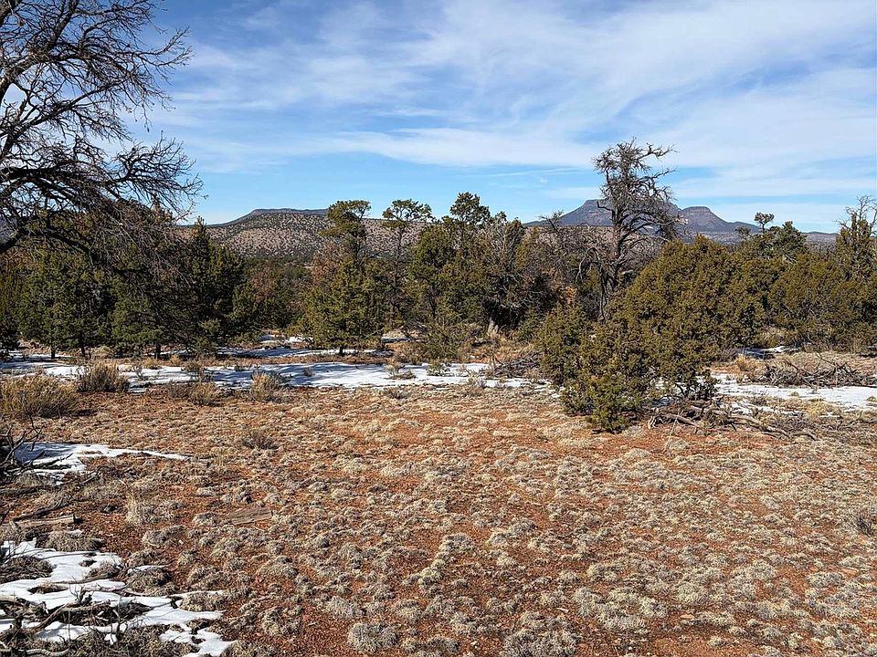 1st image of 63 Horse Peak Trl