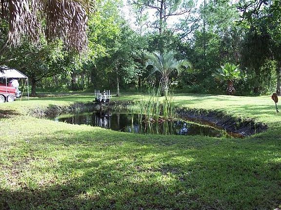 have a picnic by the pond
