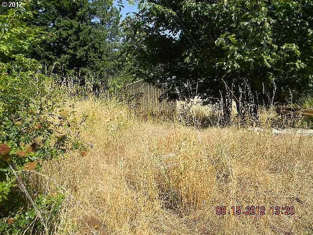 Strawberry Mountain Rd photo 1
