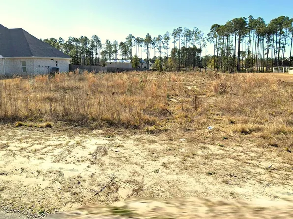 440 Skunk Valley Rd, Southport, FL 32409