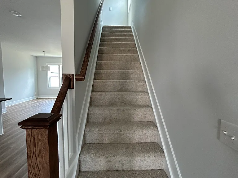 1909 Plott Balsam Dr — Photo 16