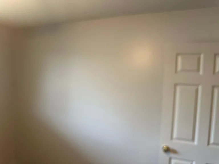 1401 Flanders St #6 — Photo 6