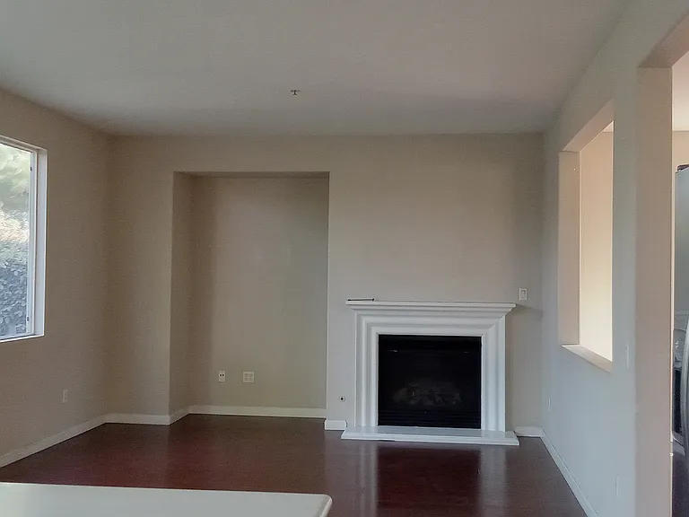 fireplace in extra family room