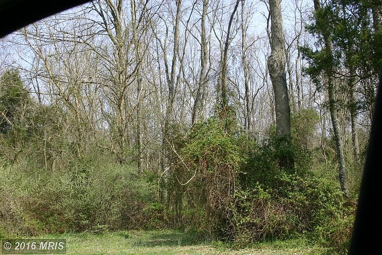 2nd image of 7405 Dam Rd