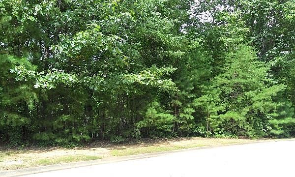 2nd image of Plum Ln