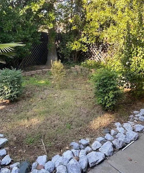 Shasta Villa Apartments — Photo 9