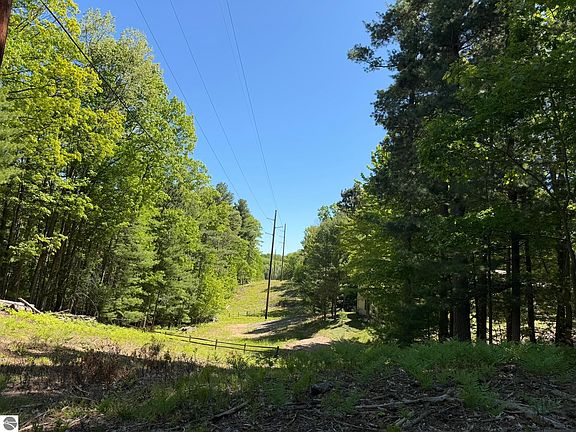 5th image of 4478 Ground Pine Trl